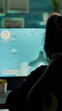 开云电竞APP赛事直播与数据分析界面